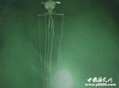 海洋深处有什么生物海洋深处是什么样子