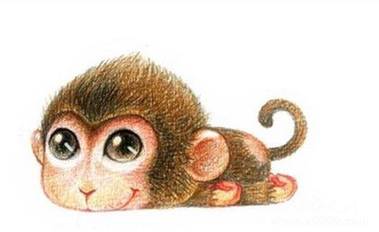 生肖猴是怎么来的属猴的人有哪些性格特点