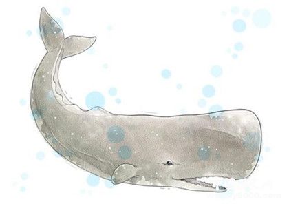 抹香鲸资料介绍 抹香鲸为什么潜水能力那么强