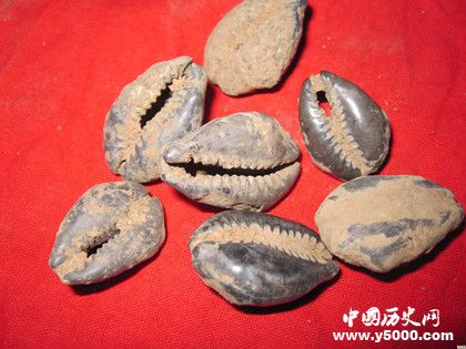 中国最早的货币是什么_中国最早的货币出现在什么时候_中国出现最早的货币是什么